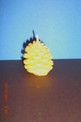 Small Pine Cone - 2 x 2 - 1.2 oz